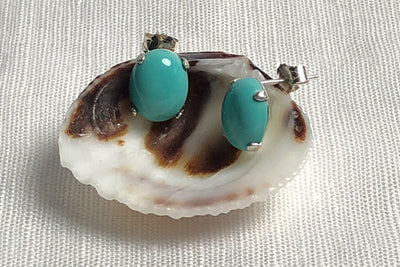 TURQUOISE-- get drawn by its beauty and its positivity - the translucent blue pop of color that makes you feel calm, relaxed, and happy. Simple stud earrings to wear alone or with your favorite sterling necklace.